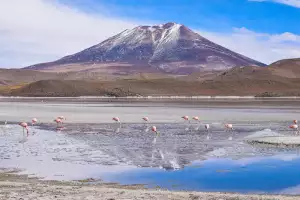 Aquaparky
