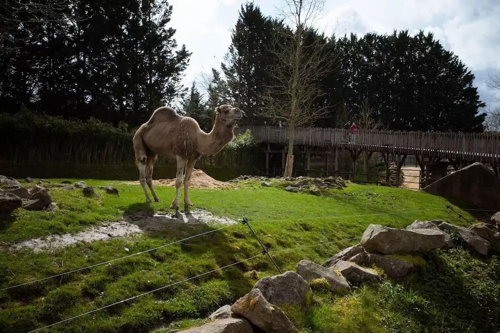 Zoopark Zelčín