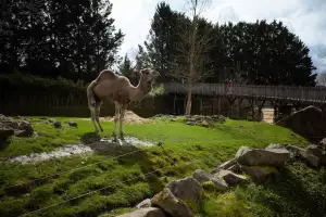 Zoopark Zelčín