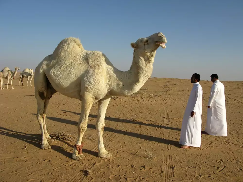 Saudská Arábie