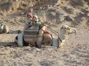 Egypt Hurghada