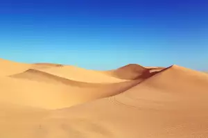 Poust