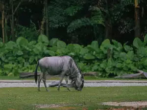 Zoo Liberec