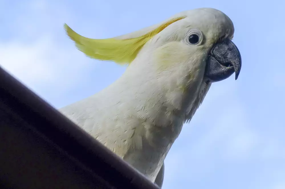 Nosy Be