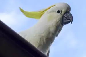 Nosy Be