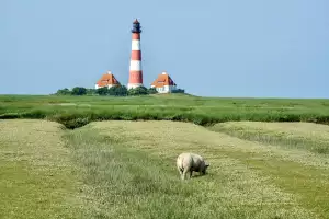 Severní Moře