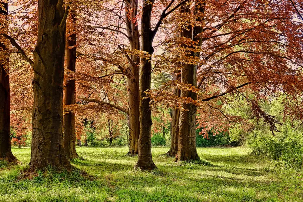 Zábavní Park Německo