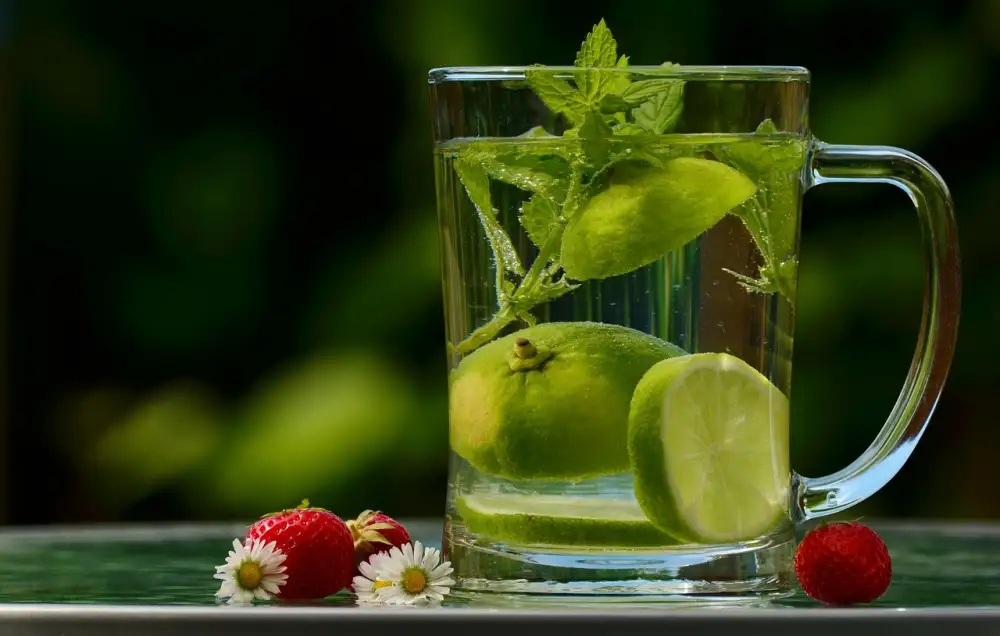 Wellness Jižní Čechy