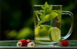 Wellness Jižní Čechy