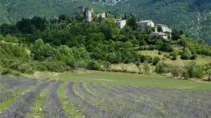 Provence