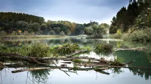 Povodí Moravy