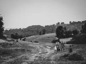 Levnocestovani