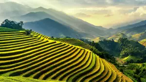 Travel Free